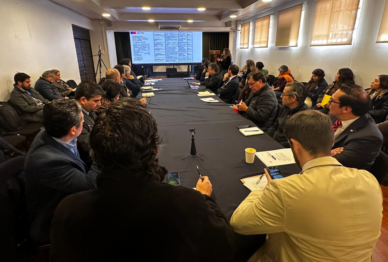 Proceso participativo PARCC O'Higgins – foto 2