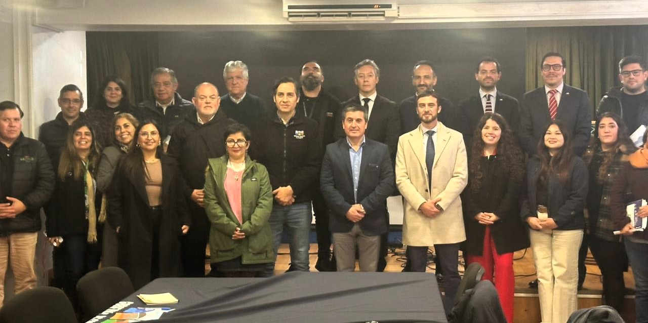Proceso participativo PARCC O'Higgins – foto 3